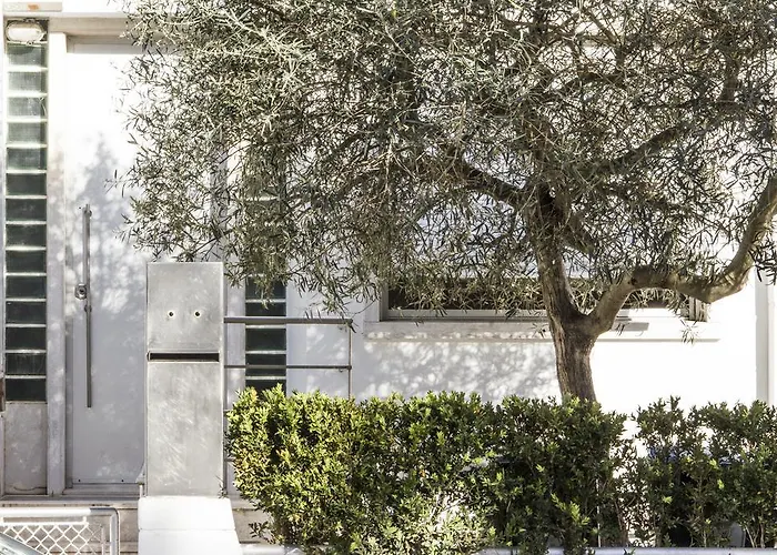 The Olive Tree House