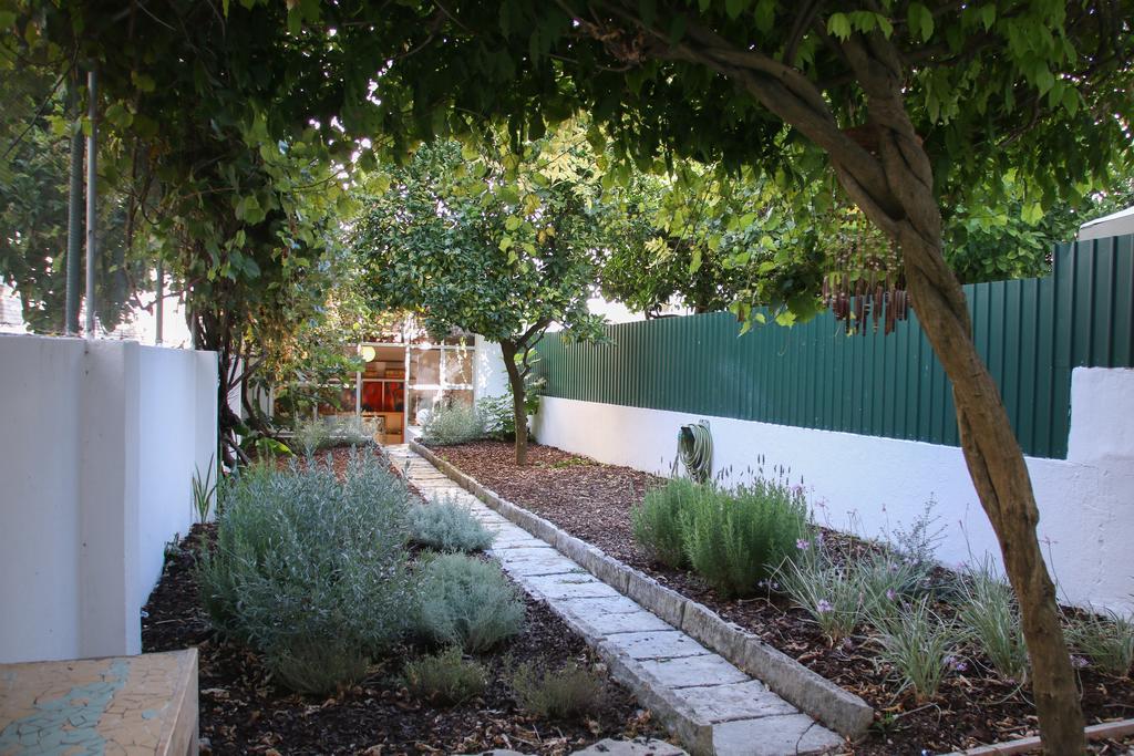 The Olive Tree House