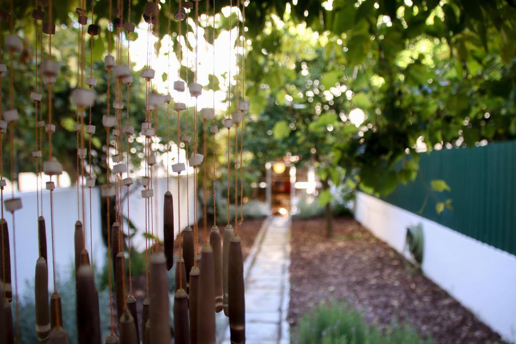 Apartment The Olive Tree House