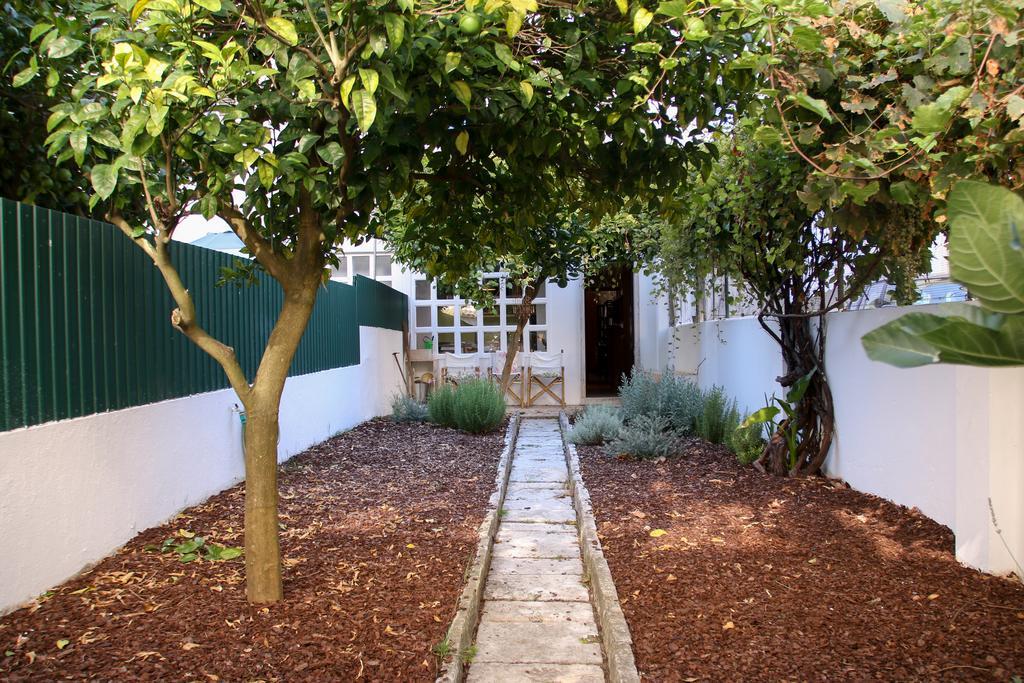 The Olive Tree House *